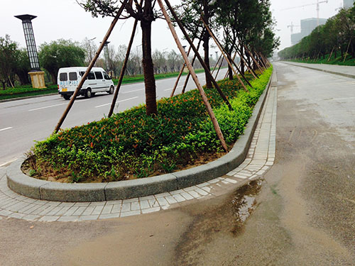 星河灣【案例】